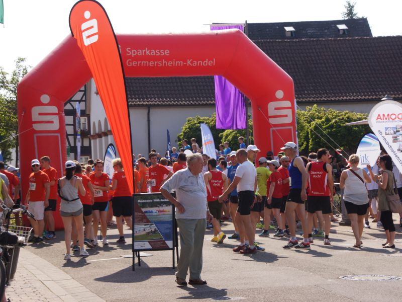 2015 firmenlauf 2015 firmenlauf