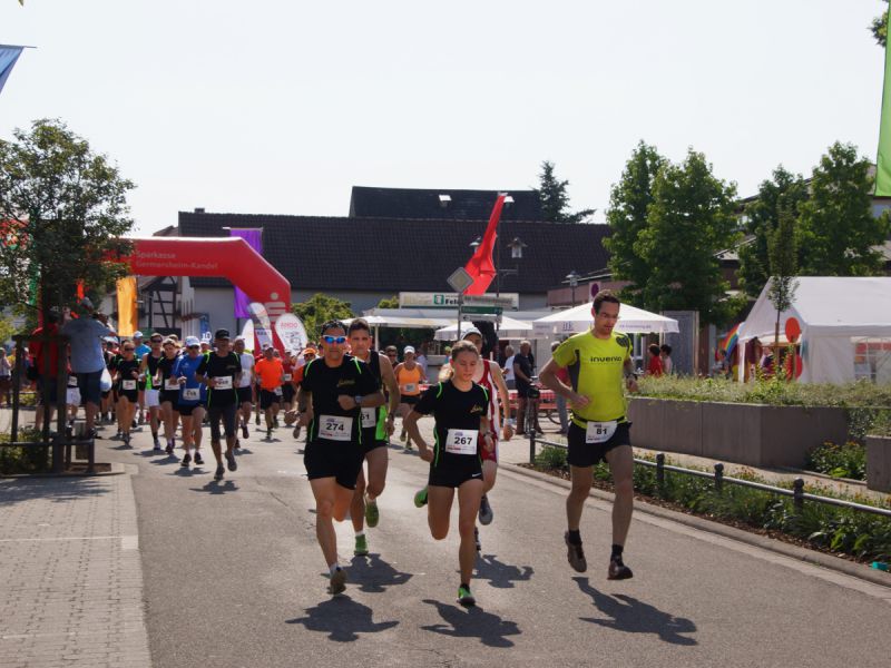 2015 firmenlauf 2015 firmenlauf