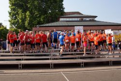 2015 firmenlauf