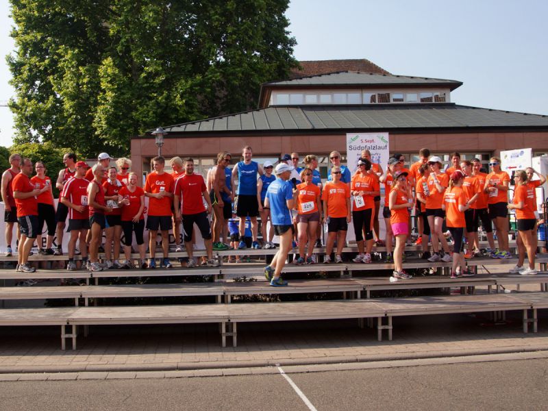 2015 firmenlauf 2015 firmenlauf