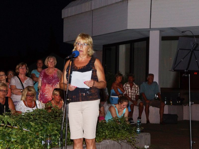 2015 zapfenstreich 2015 zapfenstreich