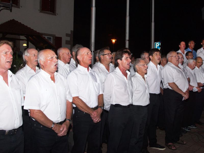 2015 zapfenstreich 2015 zapfenstreich