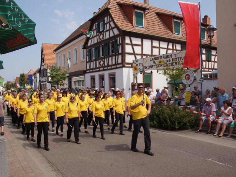 2015umzug 2015umzug